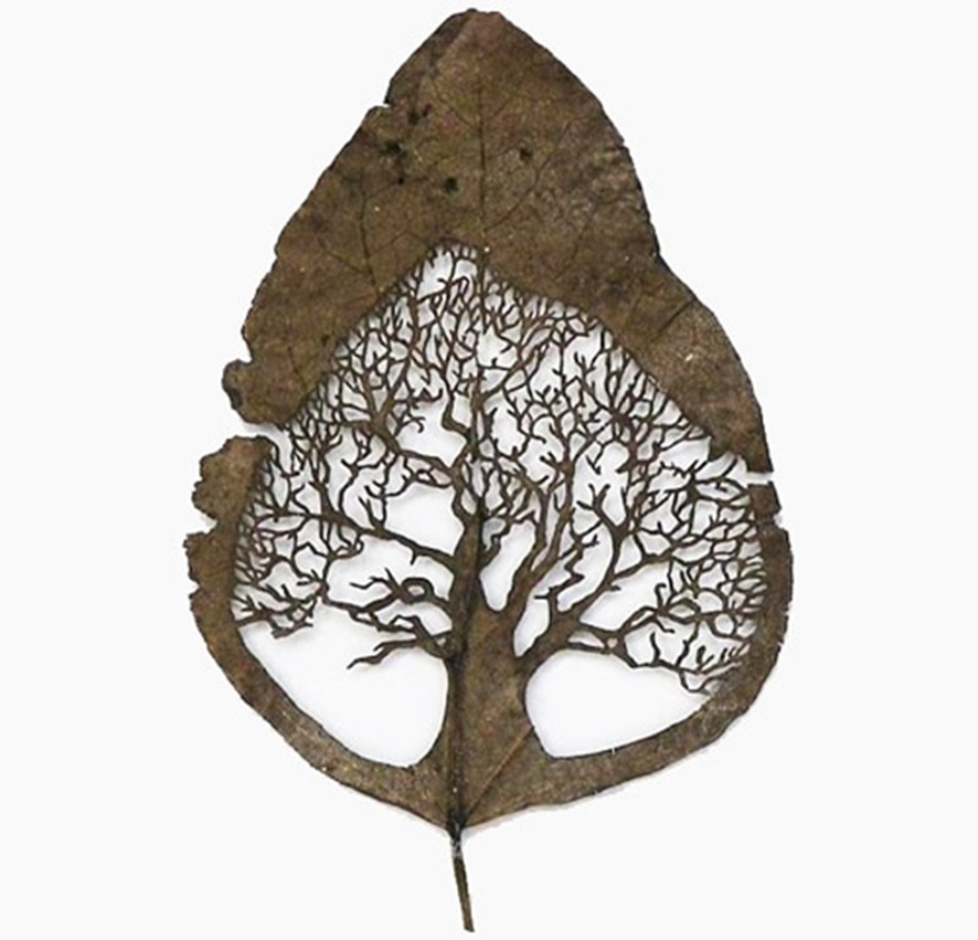 arte-con-hojas-naturales-5