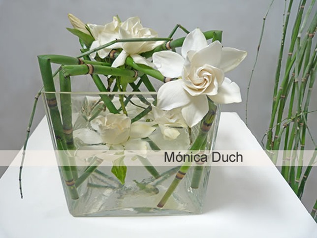 monica duch-Gardenia 1